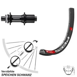 Dt-swiss DT Swiss 533 D Hinterrad 28/29 Zoll Mit Shimano FH-MT400 Nabe