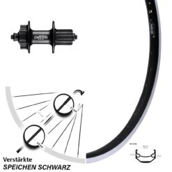 28-29 Zoll Hinterrad Shimano FH-M525 Deore 6-loch Ryde Andra 40 Für Felgenbremse