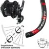 Dt-swiss Rohloff Hinterrad 28 Zoll Speedhub CC DB PM DT Swiss 545 Schwarz